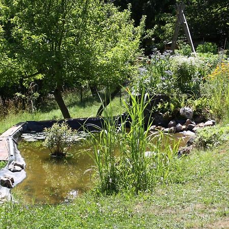 Ferienhaus "Am Schleifenbach" Saalfeld Saale エクステリア 写真