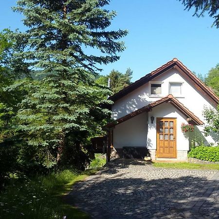 Ferienhaus "Am Schleifenbach" Saalfeld Saale エクステリア 写真