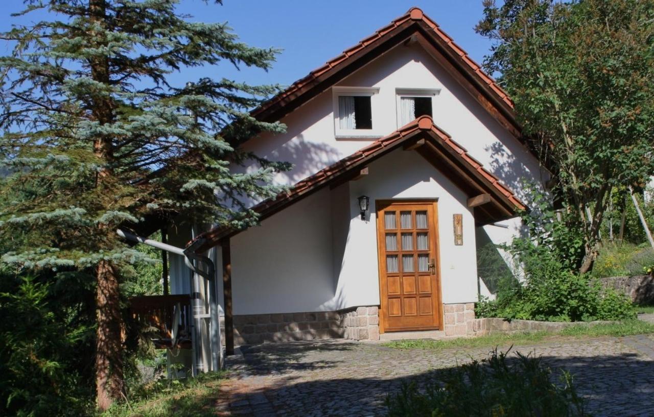 Ferienhaus "Am Schleifenbach" Saalfeld Saale エクステリア 写真