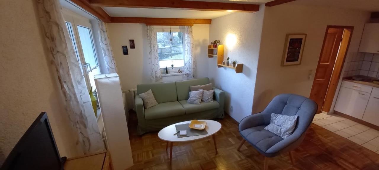 Ferienhaus "Am Schleifenbach" Saalfeld Saale エクステリア 写真